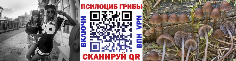 Купить закладки  Топки  Галлюциногенные грибы GOLDEN TEACHER 
